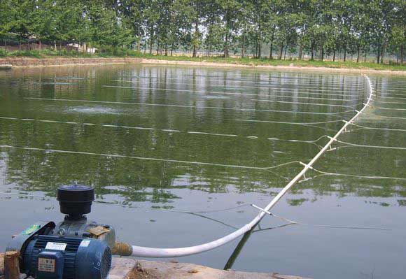 水產(chǎn)養(yǎng)殖行業(yè)用羅茨風機案例（羅茨增氧機）